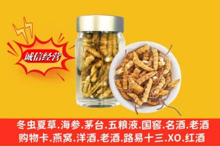 三明市沙县名酒回收散虫草.jpg