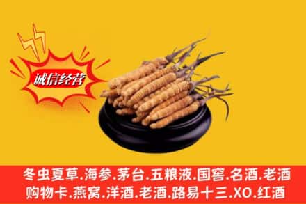 三明市沙县名酒回收冬虫夏草.jpg